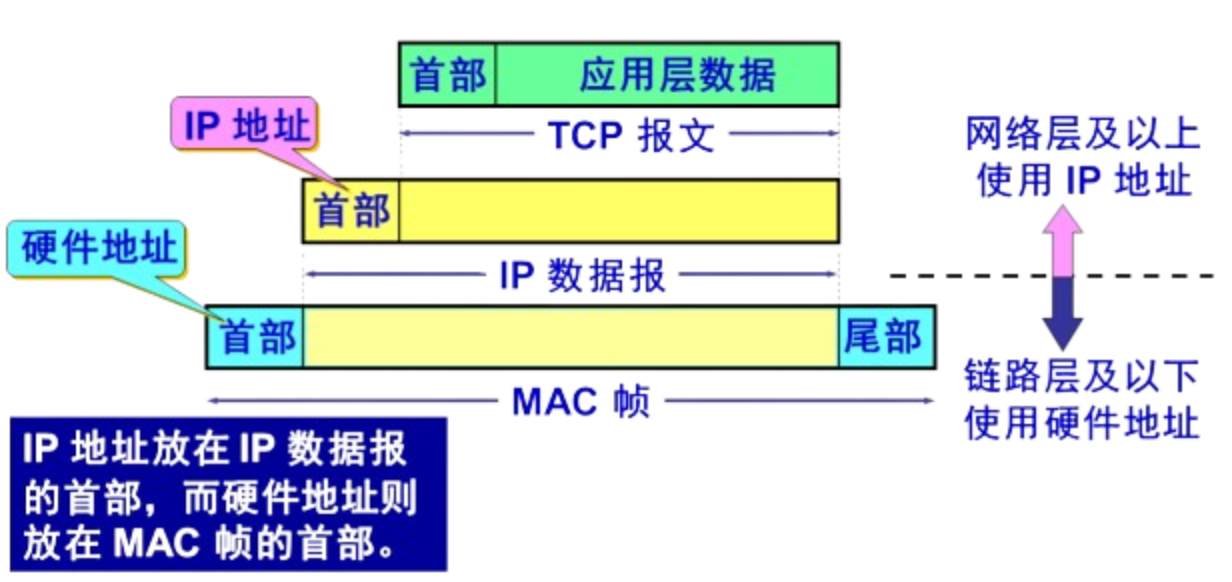 IP地址和硬件地址